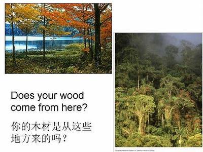 森林与林产品认证:促进木业的可持续发展