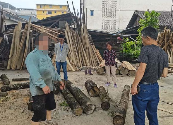 四川宝兴县林业局开展木材加工企业联合突击检查