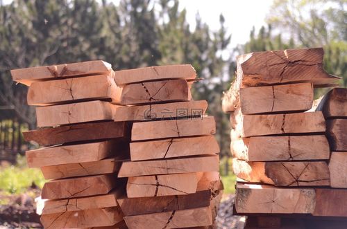 木材,天然木材,林业